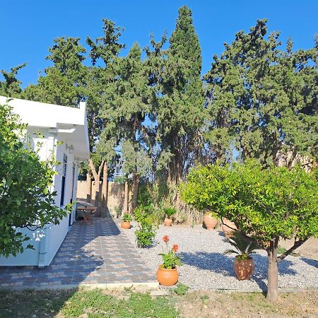 Deja Blue Villa Archangelos  Eksteriør bilde