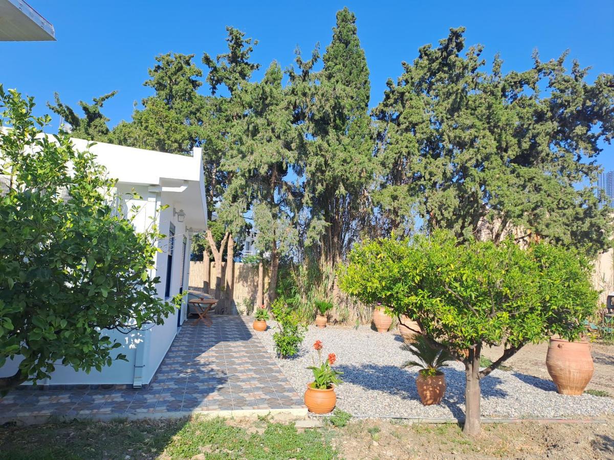 Deja Blue Villa Archangelos  Eksteriør bilde